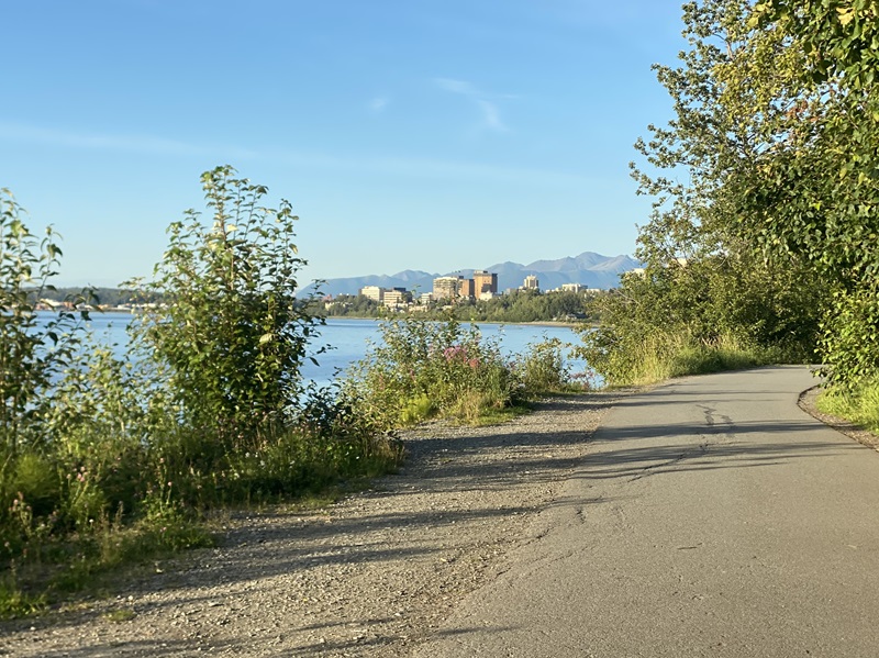 View of water from trail