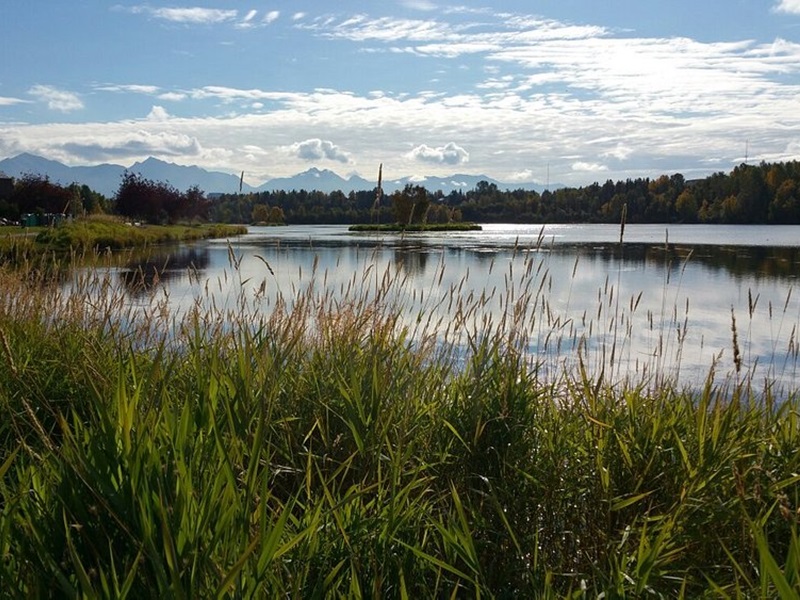 View of water from trail
